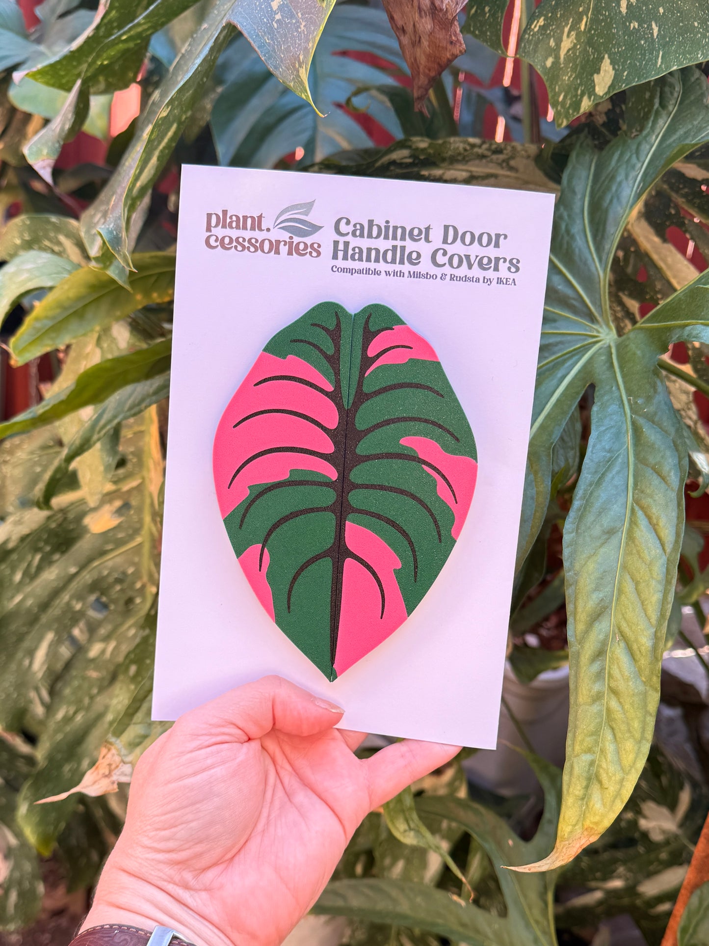 Alocasia Cuprea Variegated Cabinet Handle Cover