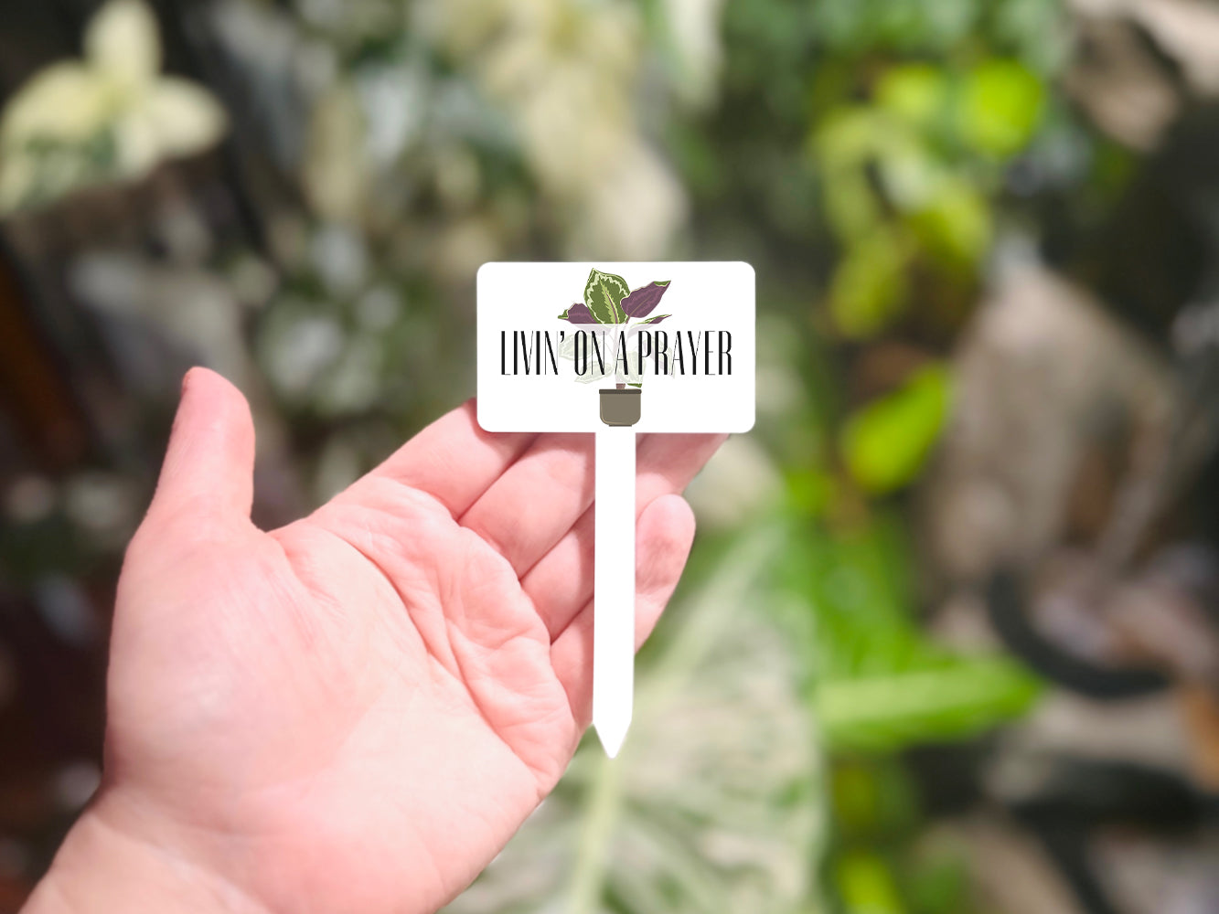 Living on a Prayer Plant Stake