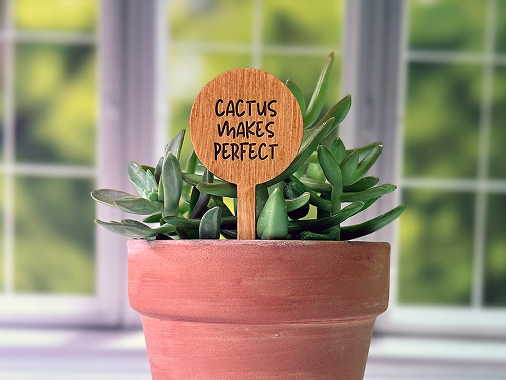 Round Funny Plant Stakes for Succulents