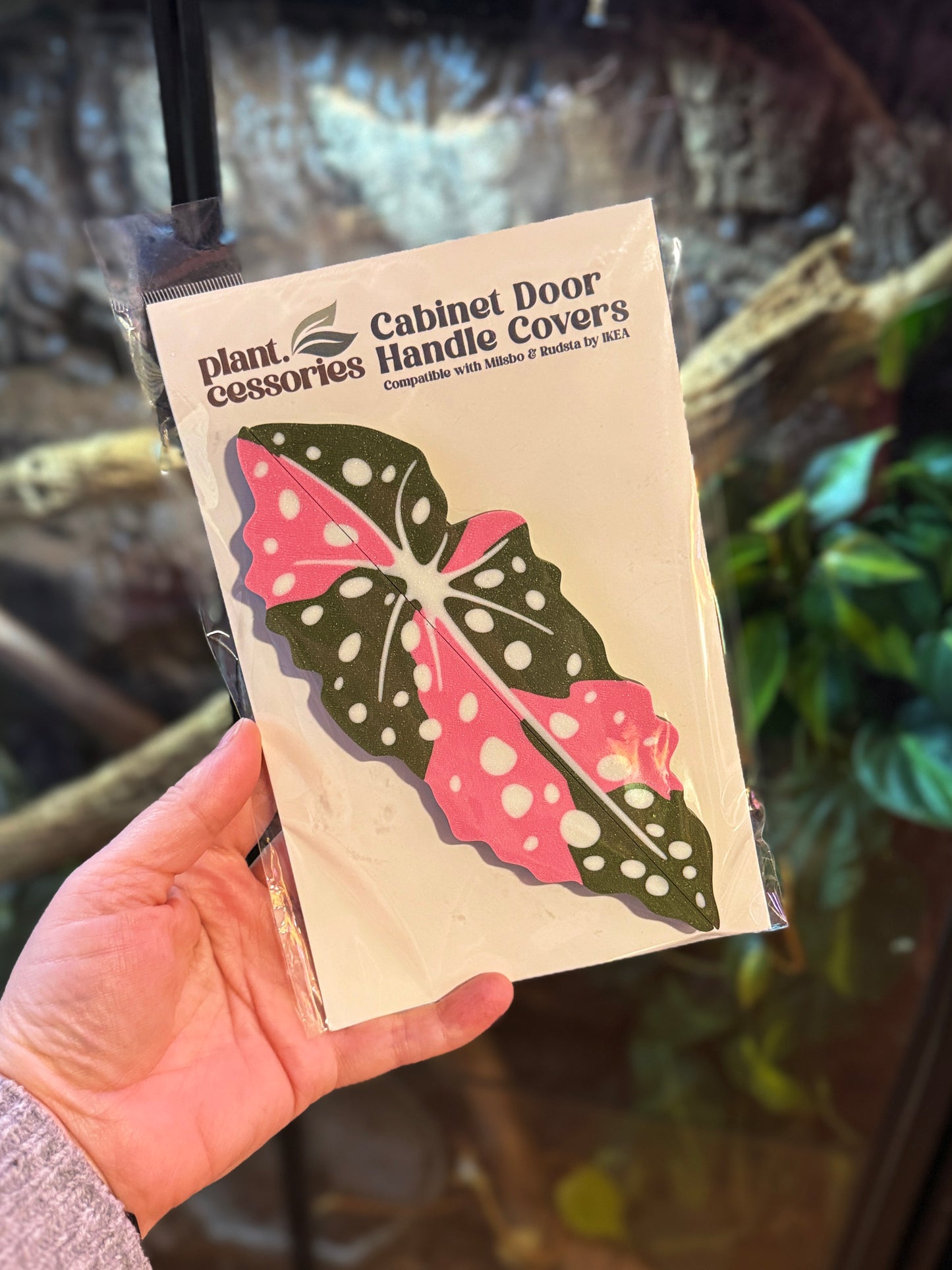 Variegated Begonia Maculata Cabinet Handle Covers