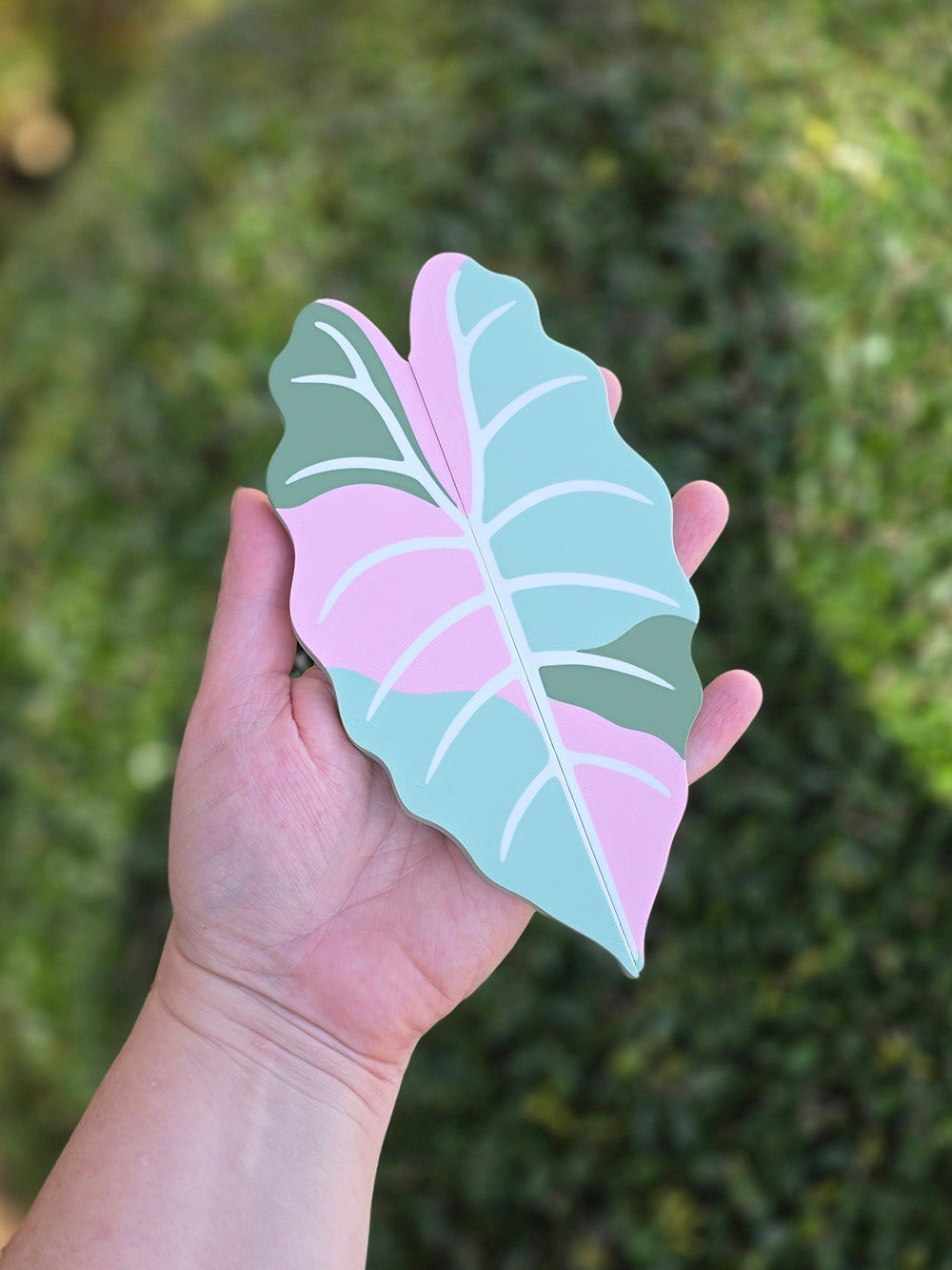 Alocasia Pink Chantrieri Variegated Cabinet Handle Cover