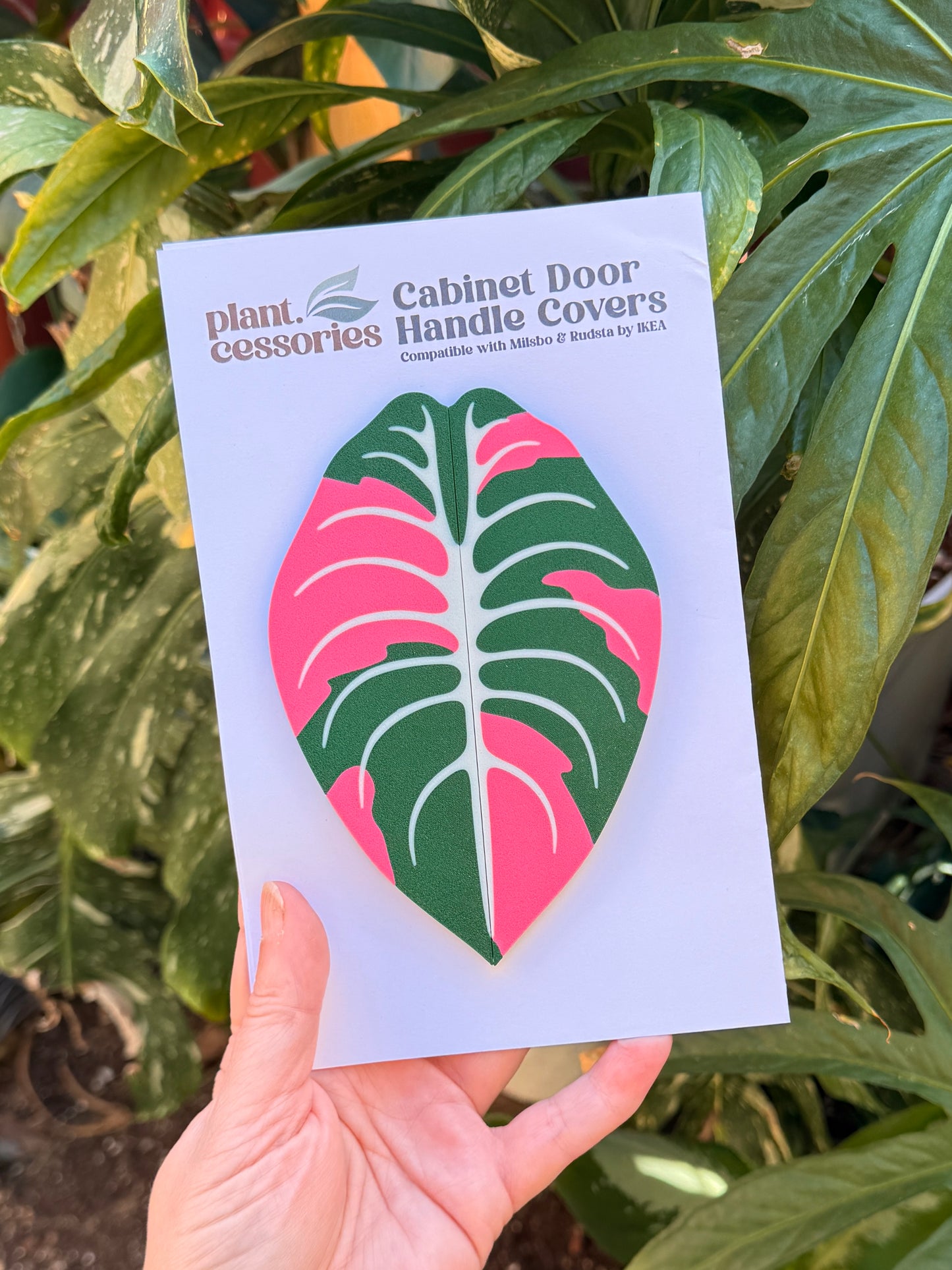 Alocasia Cuprea Variegated Cabinet Handle Cover