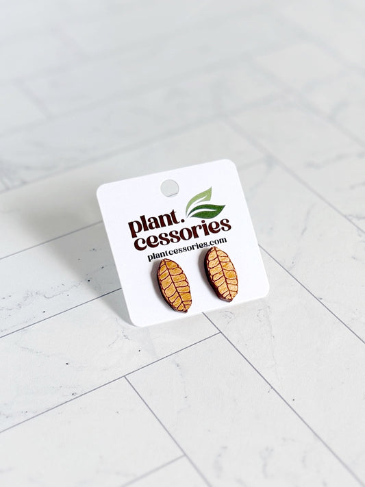 Handmade Hoya Leaf Wood Earrings