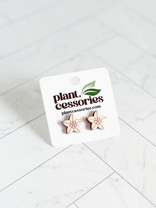 White & Pink Hoya Flower Earrings