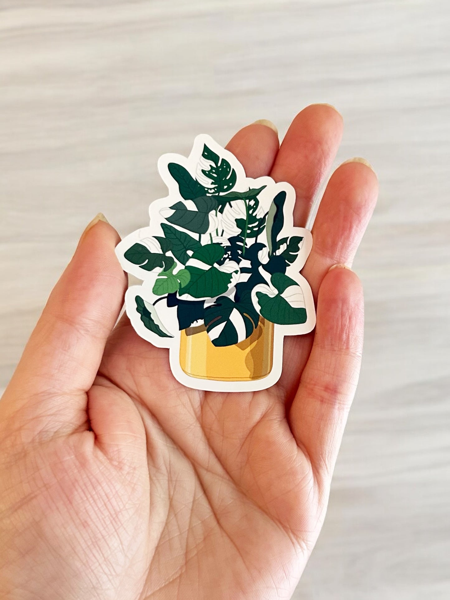 Variegated Plants Vinyl Decals