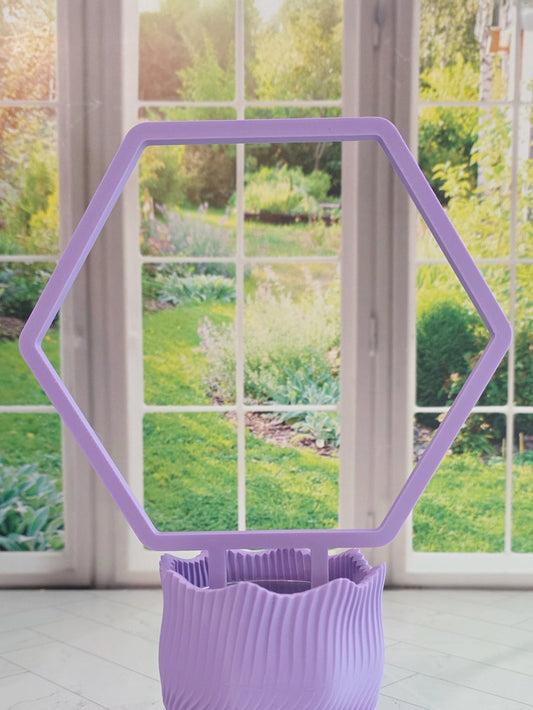 Hexagon Plant Trellis