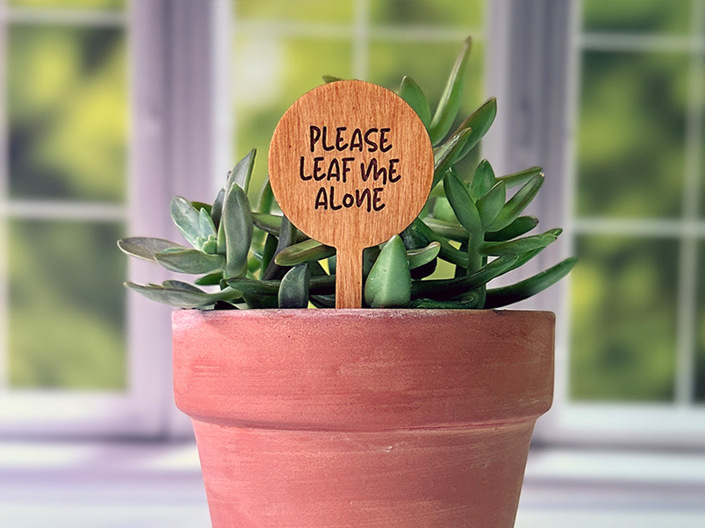 succulent plant puns Round Funny Plant Stakes for Succulents – Plantcessories