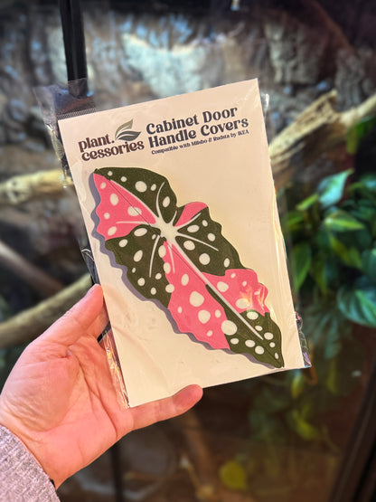 Variegated Begonia Maculata Cabinet Handle Covers