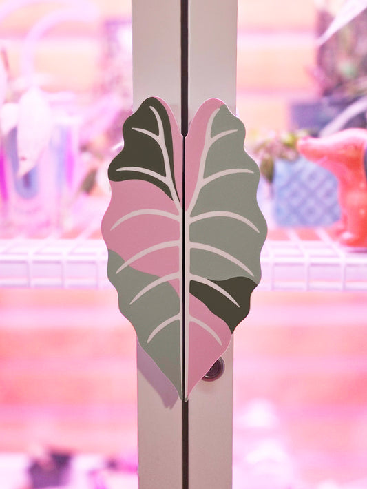 Alocasia Pink Chantrieri Variegated Cabinet Handle Cover