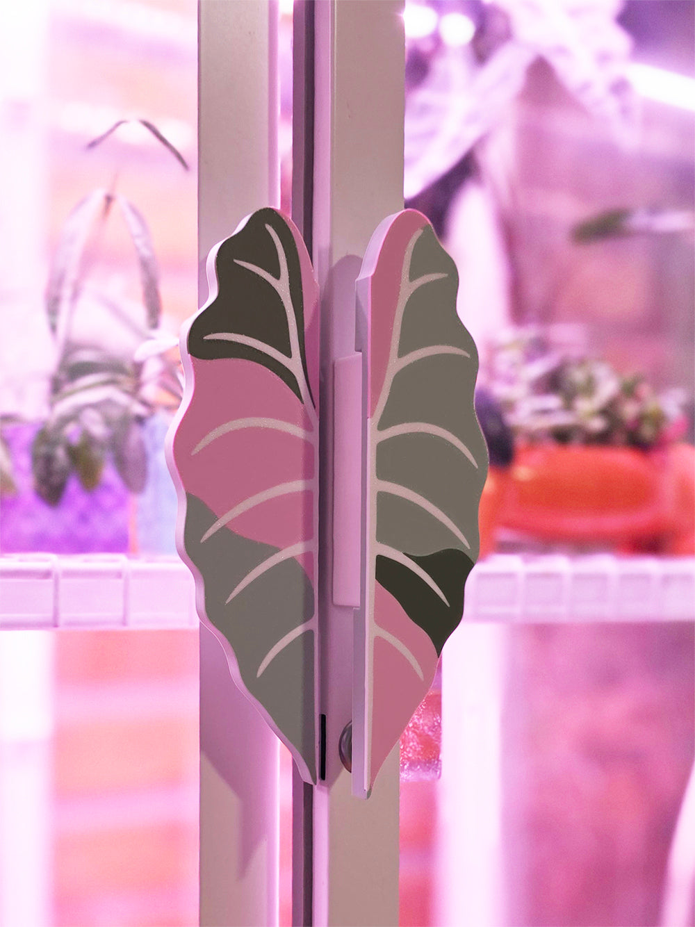 Alocasia Pink Chantrieri Variegated Cabinet Handle Cover